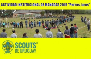 Actividad Institucional de Manadas SDU 2015 - Perros Jaros